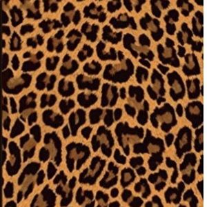 Meet your Posher, Jack